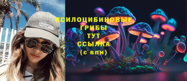 бошки Алзамай